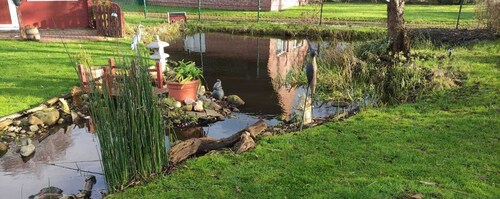 Fewo Storchennest