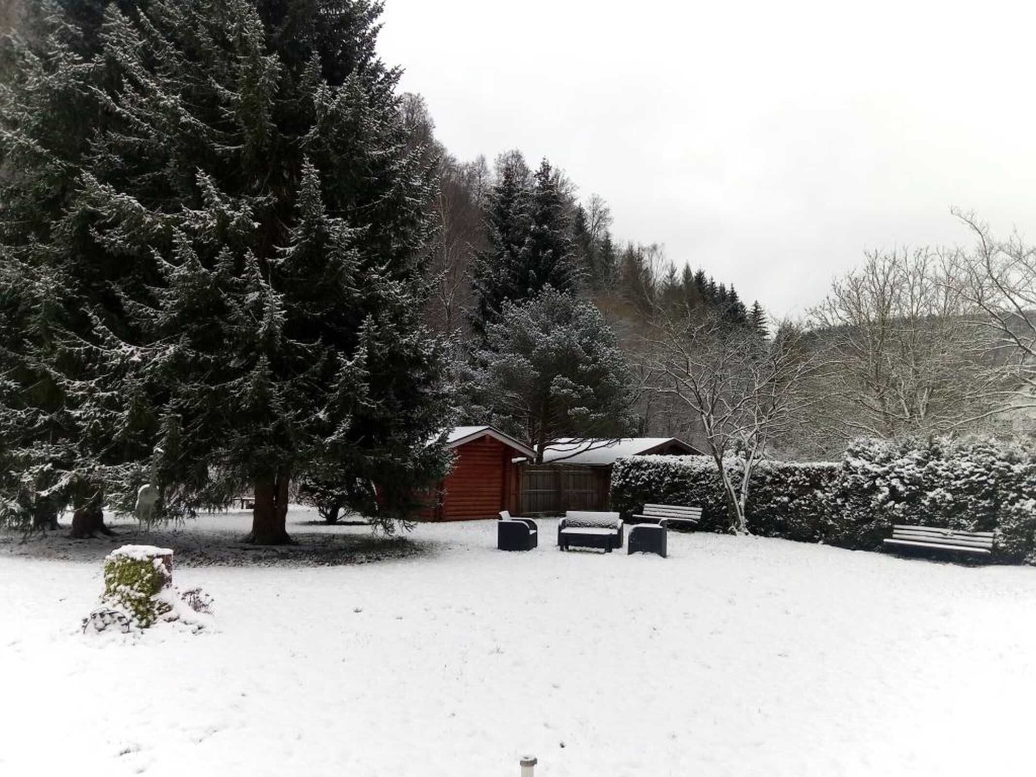 Schneebedeckte Landschaft mit einer roten Holzhütte, einer hohen Nadelbaum und einer Bank.