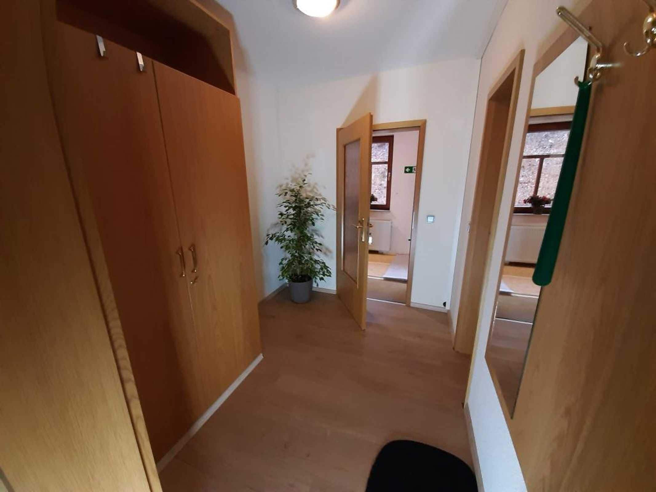 Un couloir avec des portes en bois, une plante en pot et une vue sur une autre pièce.