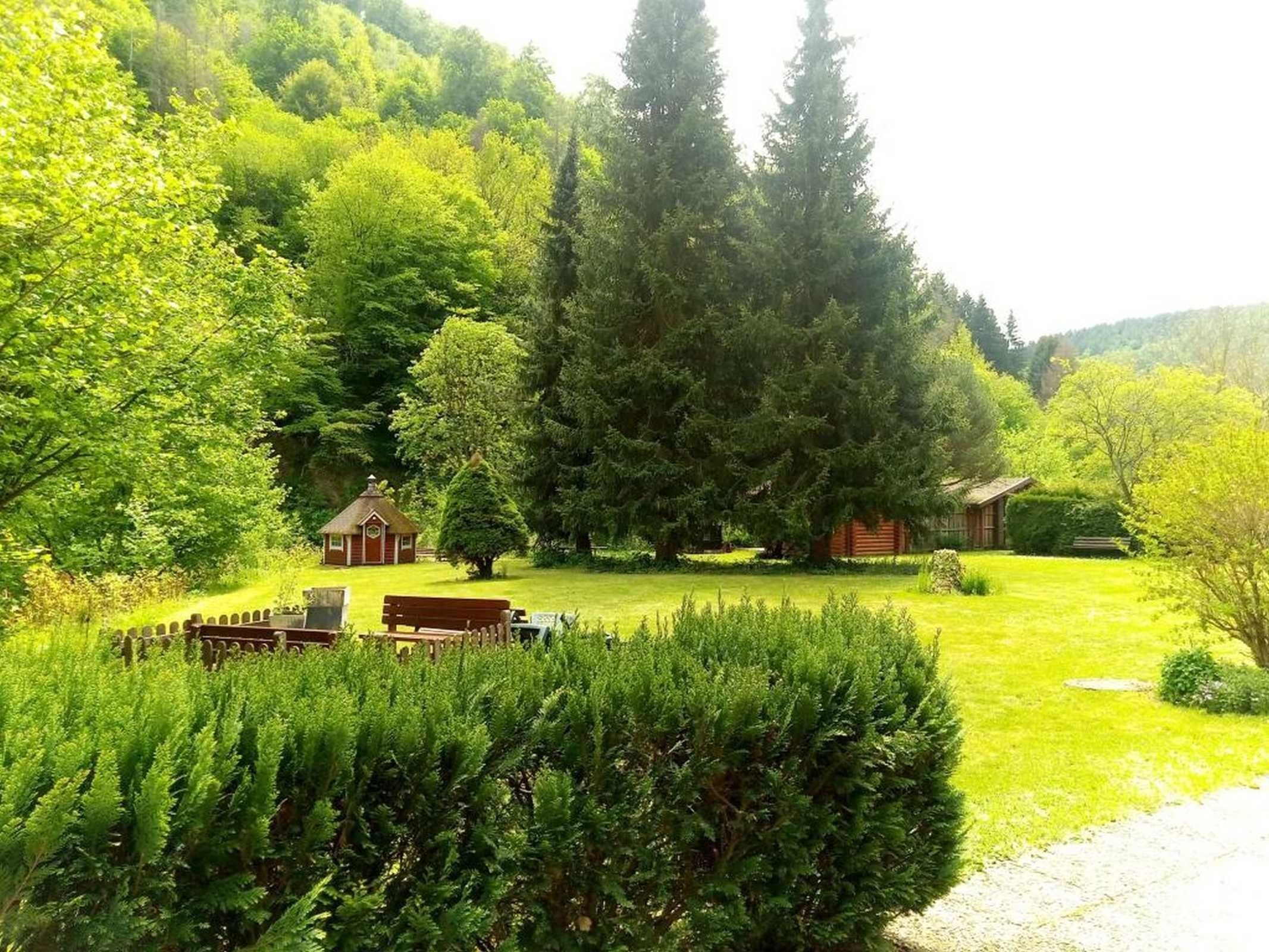 A cabin surrounded by lush greenery and tall trees.