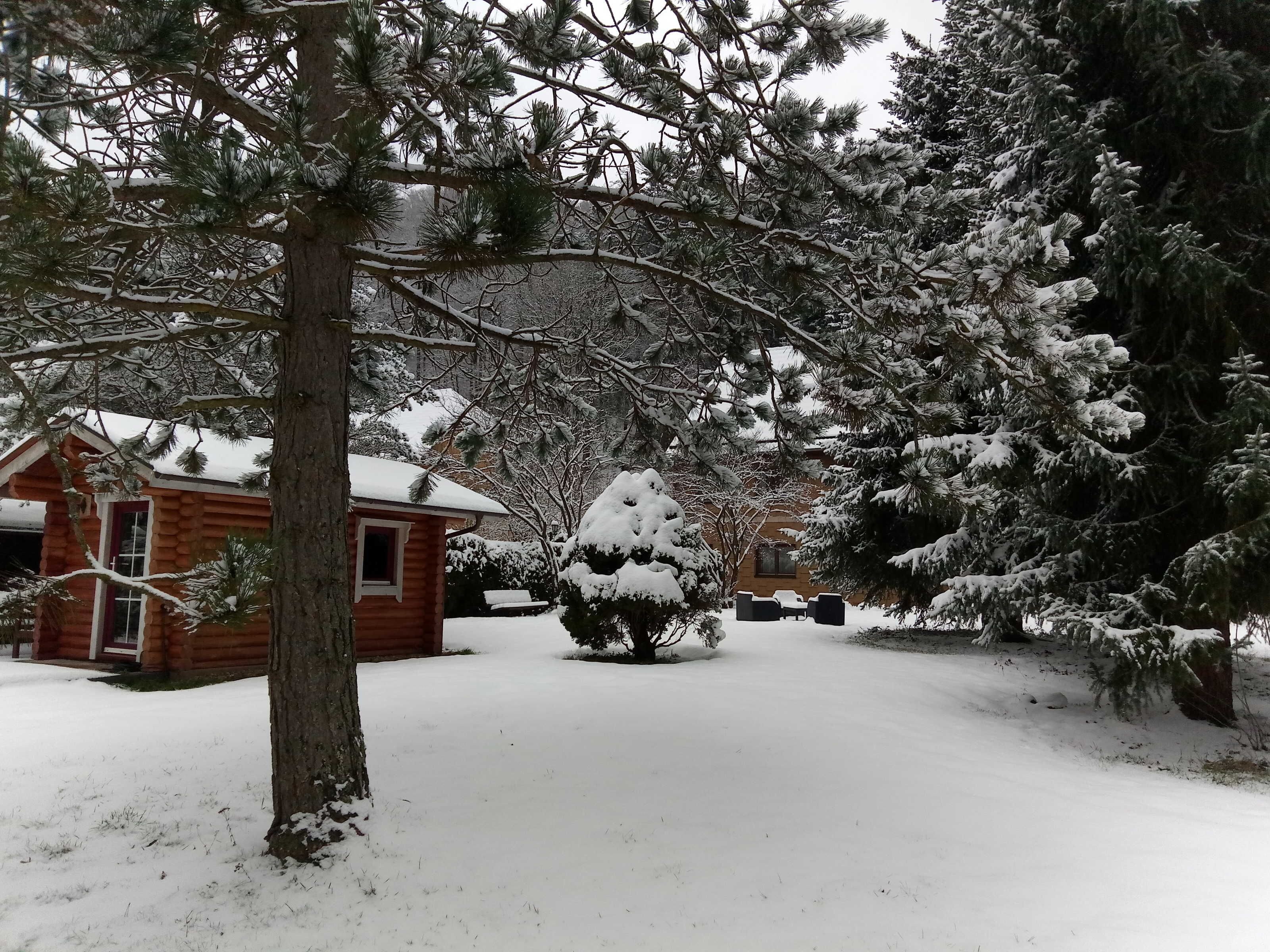A log cabin with a snow-covered roof, surrounded by evergreen trees and a snow-covered lawn.
