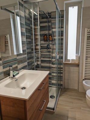 Shower, hair dryer, bidet, towels