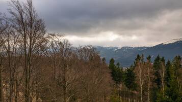 A forested landscape with mountains in the background.