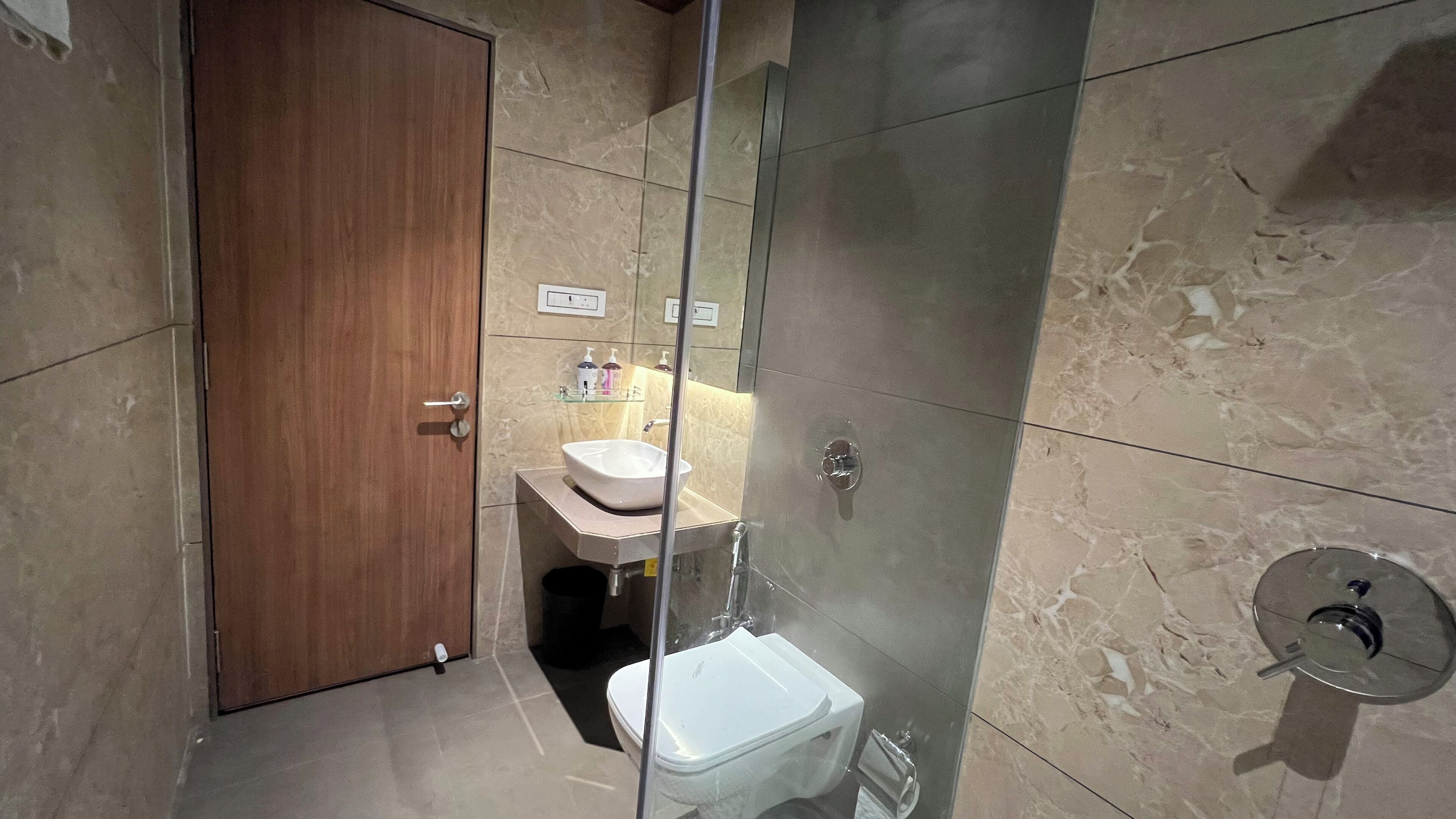 A modern bathroom with a wooden door, a glass-enclosed shower, a white sink, and a toilet.
