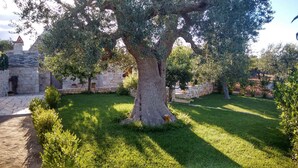 A courtyard with a large tree, stone walls, and a stone pathway. - Trullo Degli Ulivi (Castellana Grotte)
