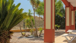 A covered outdoor area with palm trees, a patio with lounge chairs, and a yellow wall.