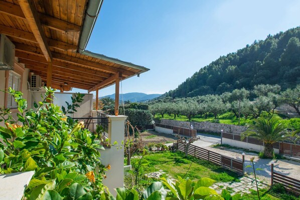 Property grounds - Familystyle apartment 4 (Lithakia)