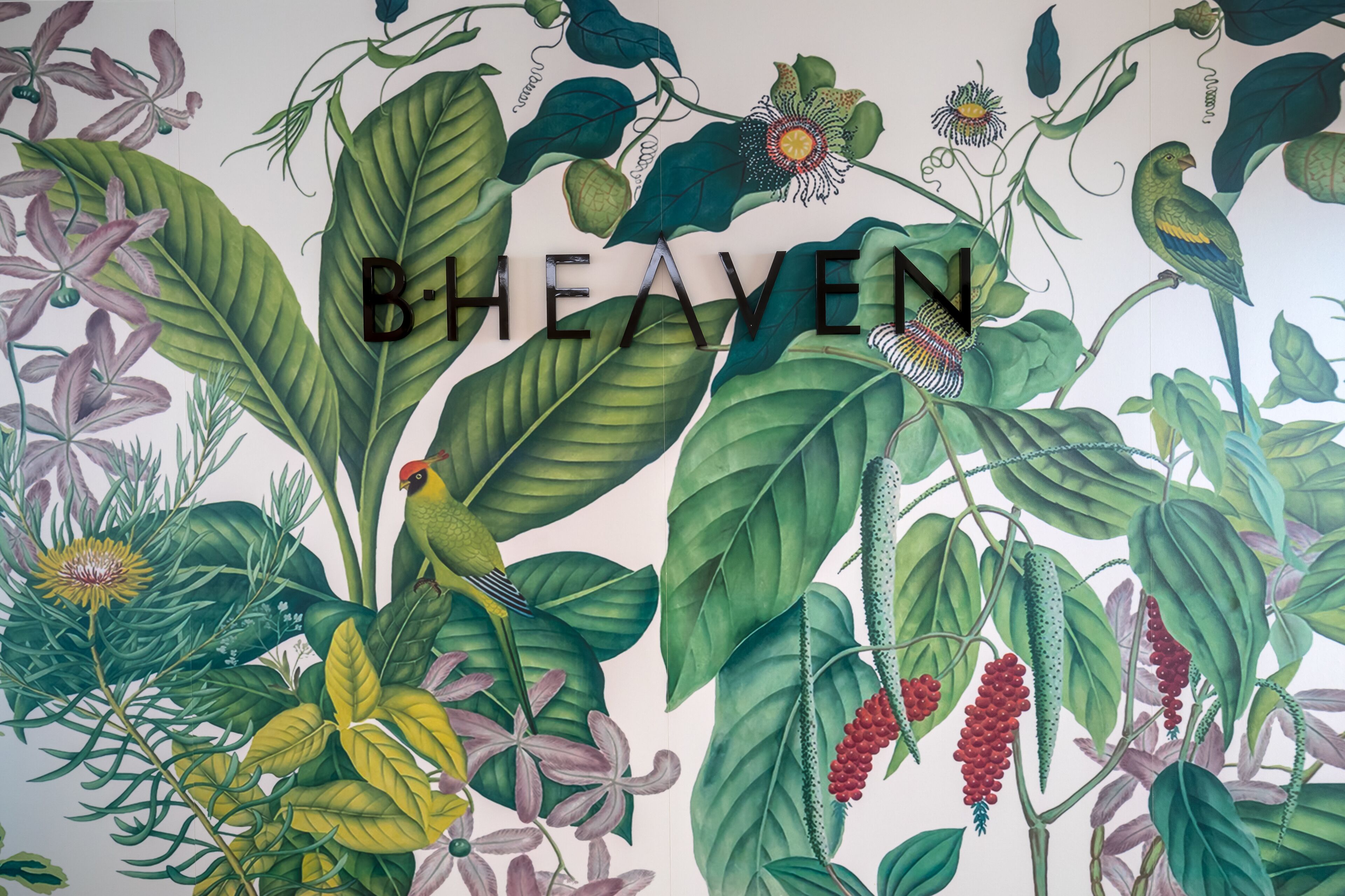 rooftop bar, poolside views, open daily