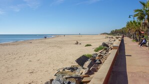 Een strand met een stenen muur en palmbomen langs het pad.