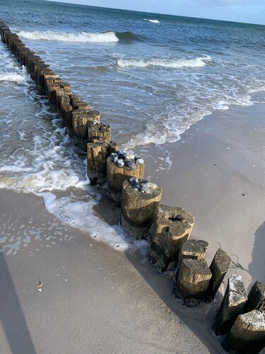 Ferienwohnung Weidenblick