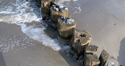 Ferienwohnung Weidenblick