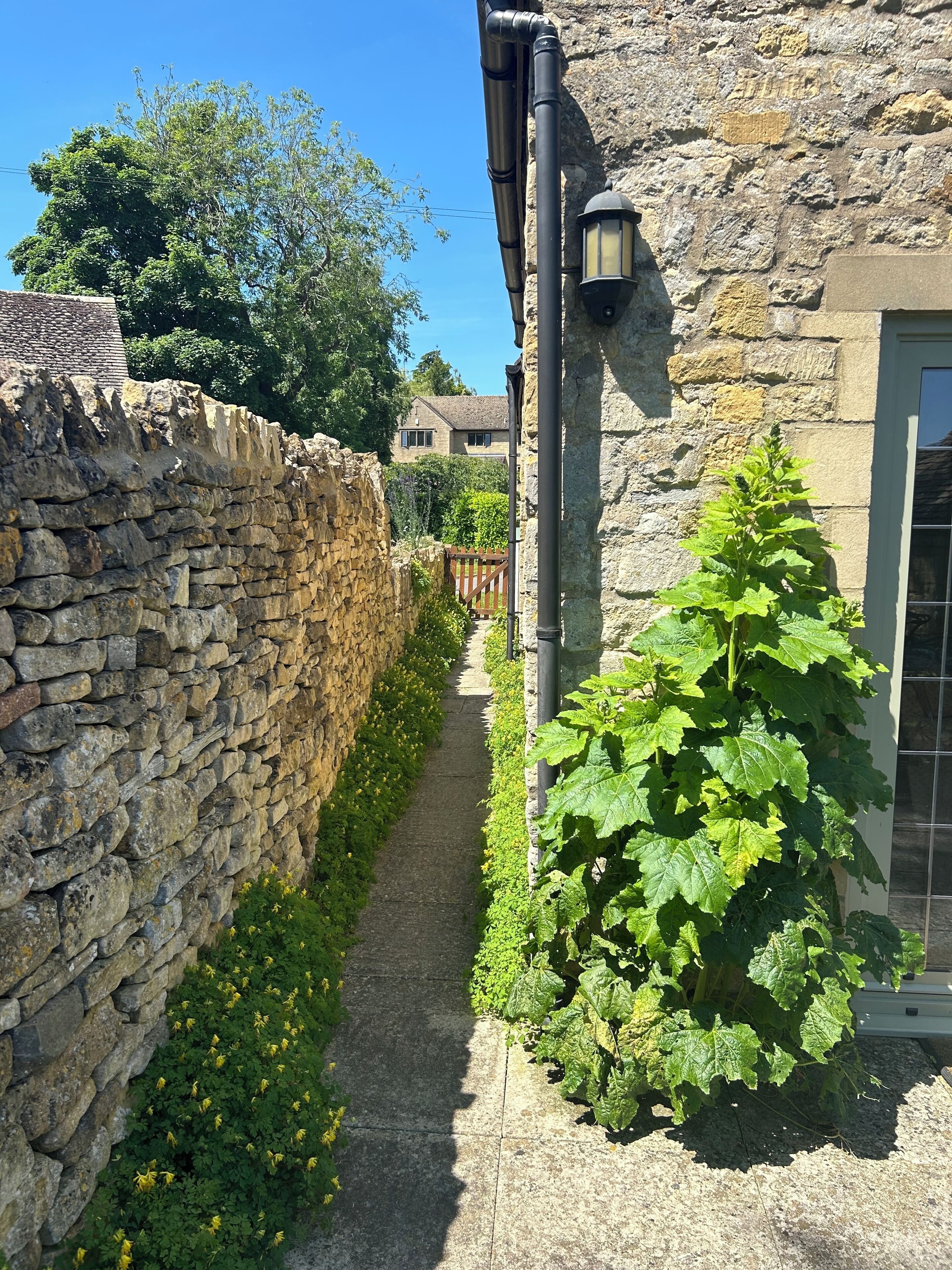 Enceinte de l’hébergement
