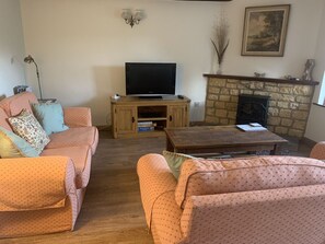 Smart TV, chimenea, reproductor de DVD y libros 
