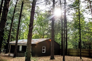 A rustic cabin surrounded by tall trees with sunlight filtering through. - Getaway House at Avenwood Cabins (new straitsville)