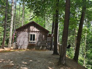 A rustic log cabin with a window and a door, surrounded by trees.