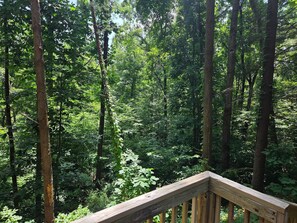 A forested area with a wooden deck. - Eagles Nest at Avenwood Cabins (new straitsville)