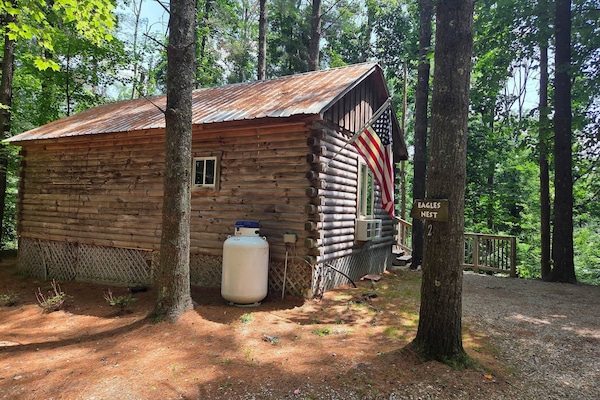 Log cabin with flag among tall trees