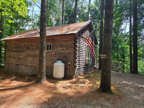A rustic log cabin with a small porch, an American flag, and a sign reading 'EAGLES NEST'.