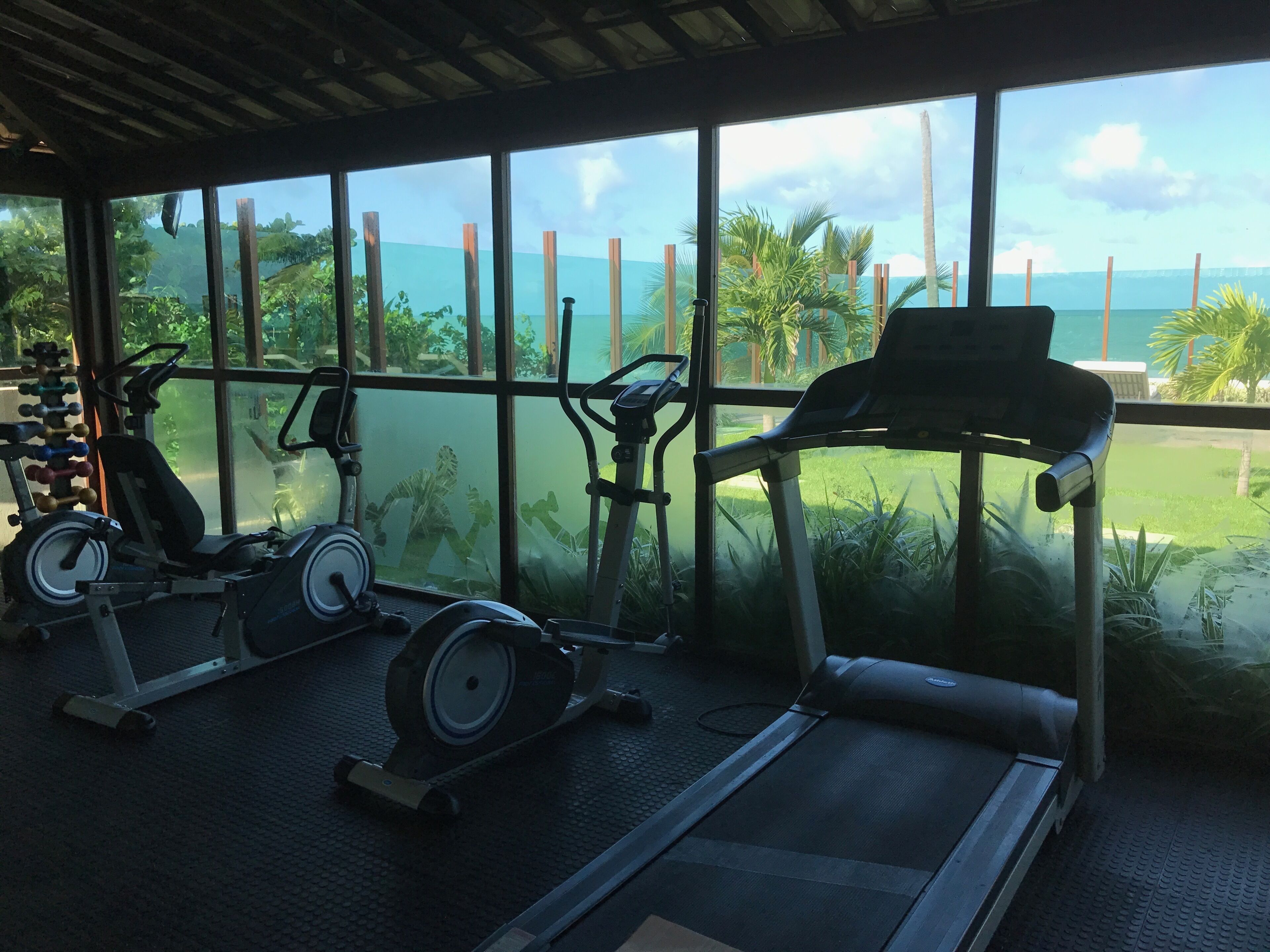 A gym with exercise equipment and large windows overlooking a tropical landscape.