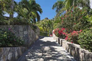 Un sentier bordé de murs de pierre et d’une végétation luxuriante, qui mène au sommet d’une colline.