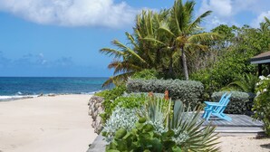 A beach with a chair and plants, a palm tree, and the ocean. - Villa Blue Beach  | Beach Front - Located in  Stunning Baie Longue with Private Pool (Les Terres Basses)