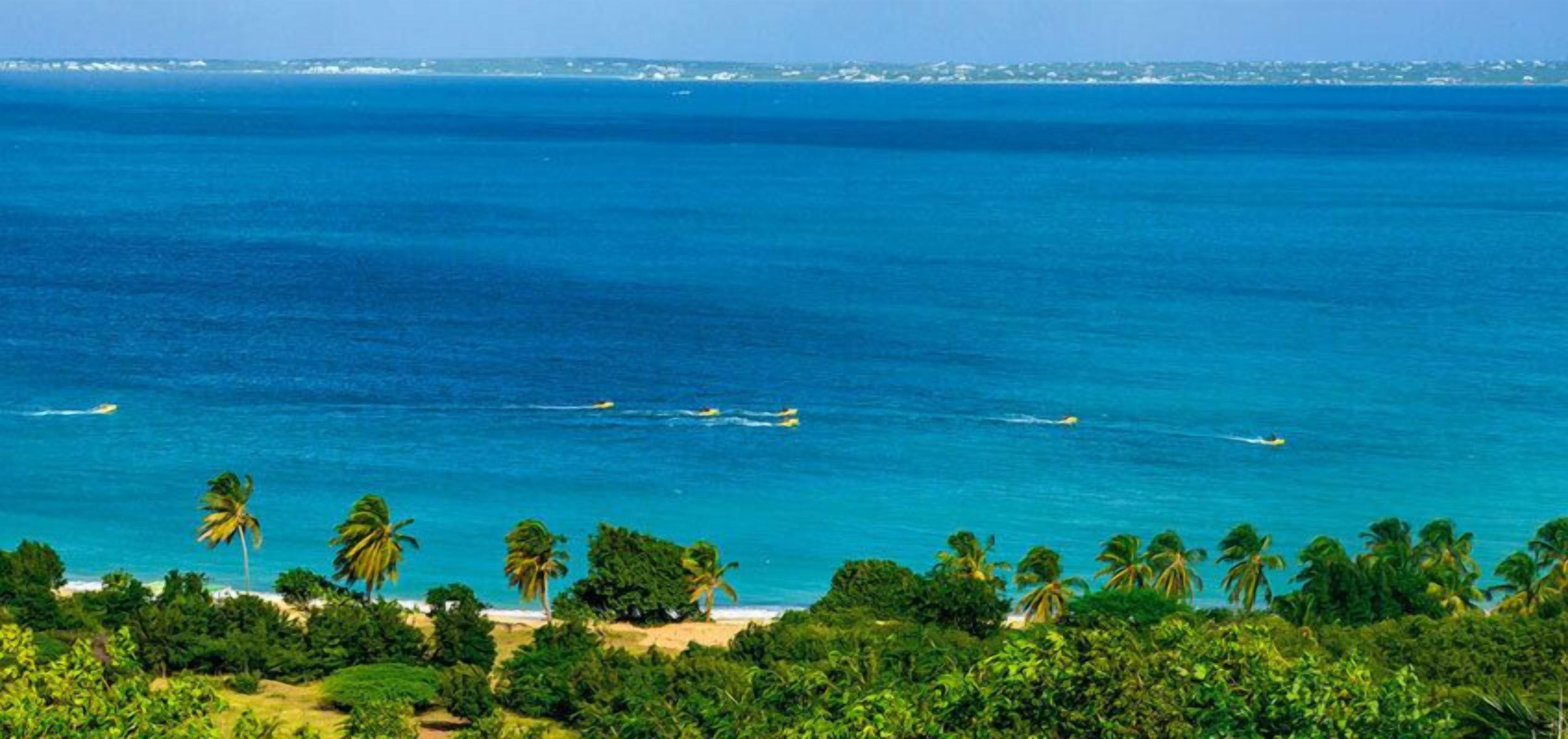 A coastal view with a clear blue sea, palm trees, and a distant shoreline.