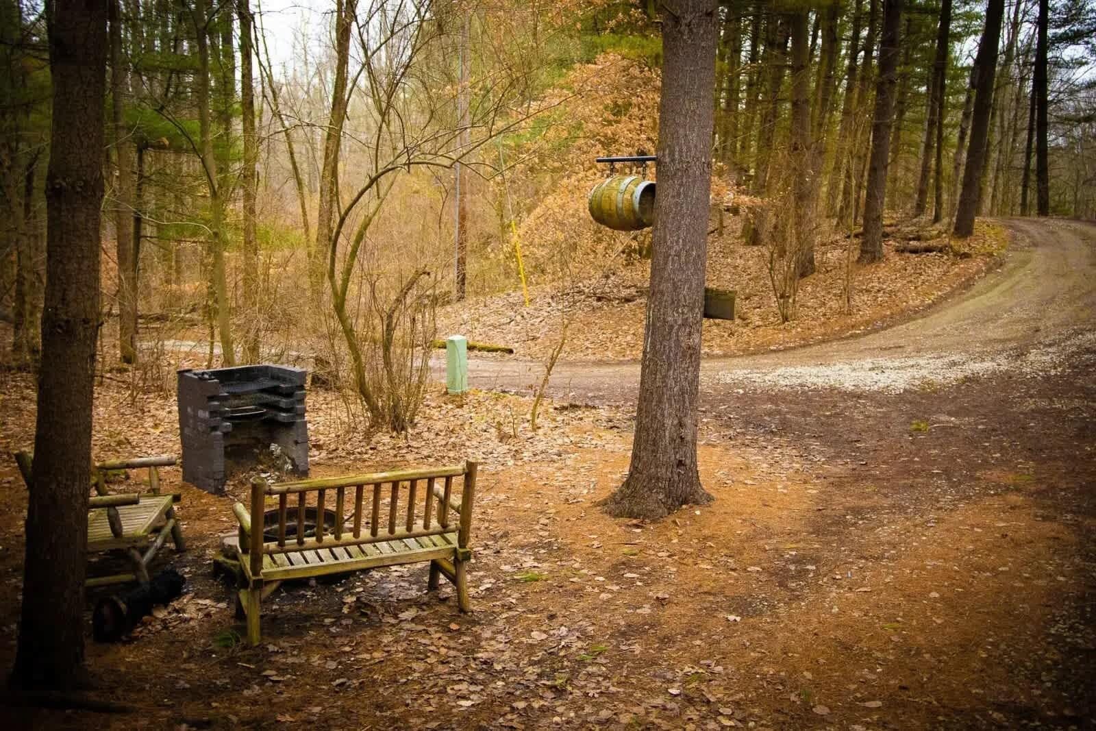 A forested area with a dirt path, a wooden bench, and a metal barrel.