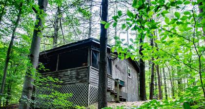 This is a must-see Cabin.