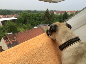 Balcon