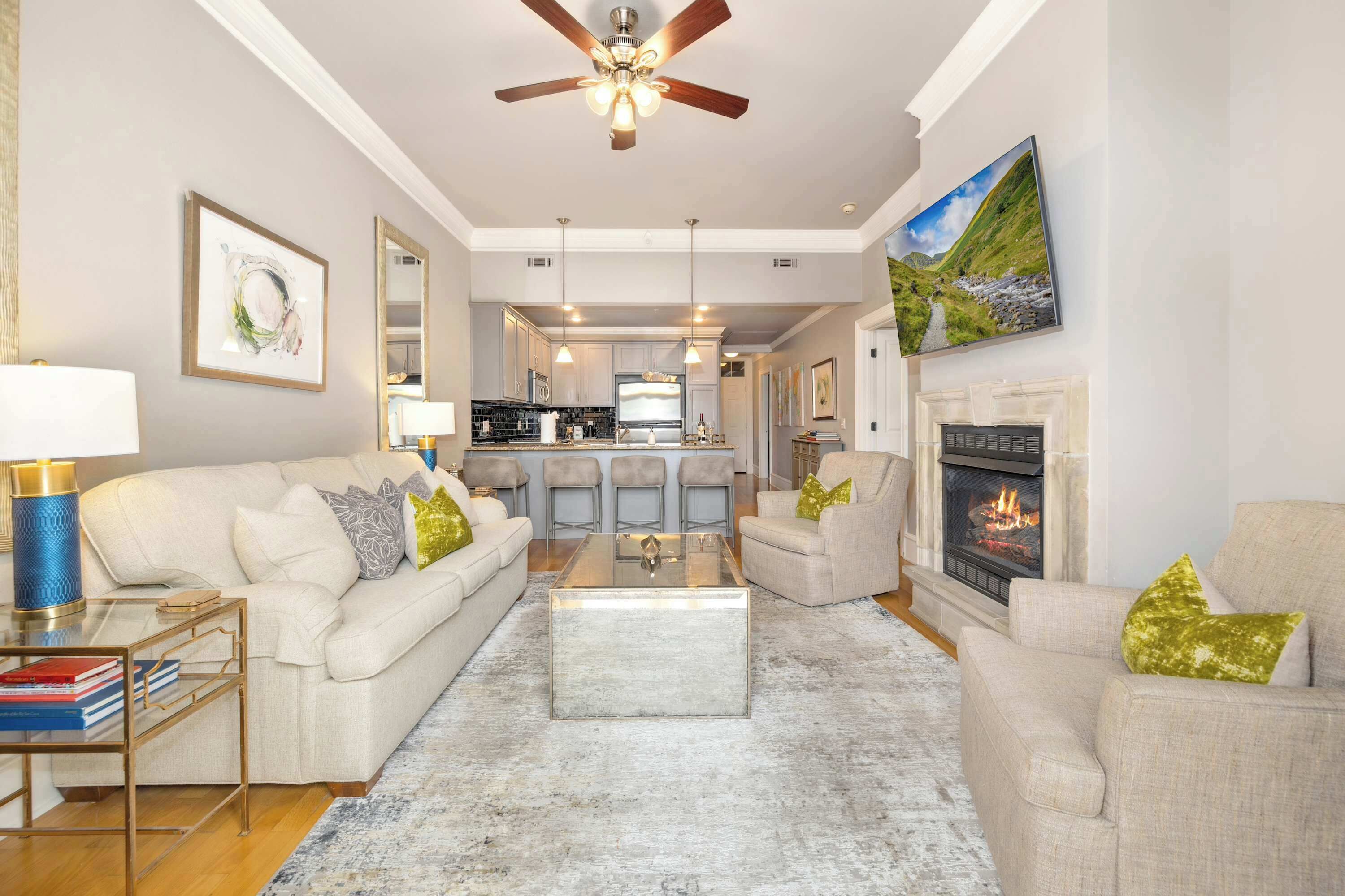 TV, fireplace, books, offices