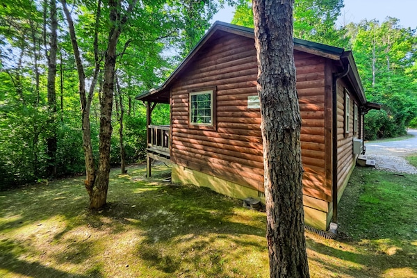 Cabin among the trees
