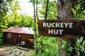 Une pancarte en bois sur laquelle on peut lire « BUCKEYE HUT », une petite cabane en bois en arrière-plan et une végétation luxuriante tout autour.