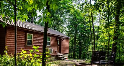 This is a must-see Cabin.