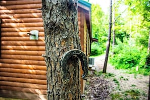 Un tronc d’arbre avec un crochet en métal, et une cabane en bois en arrière-plan.