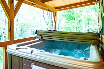 This is a must-see Cabin.