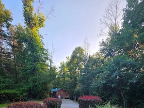 A lodge surrounded by dense forest, with a gravel path leading to the entrance.