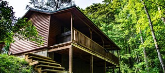 This Cabin will have you Bird watching