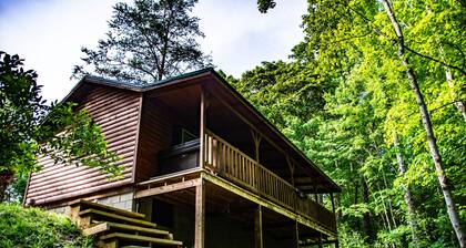 This Cabin will have you Bird watching
