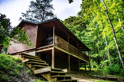 This Cabin will have you Bird watching