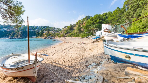 A beach with boats moored on the sand, a clear sky, and a backdrop of houses and greenery.