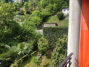 Comfort Studio | Garden view