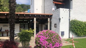 A building with a white exterior, a covered patio area, and a large pink flowering bush in the foreground. - Sureggio Village (Capriasca)