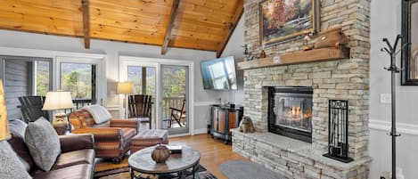 Smart TV, chimenea, reproductor de DVD y libros