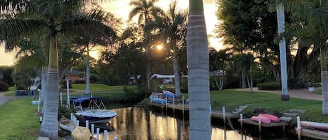 A serene lakeside scene with palm trees, a dock, and boats.
