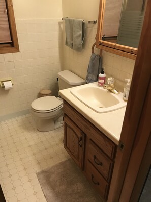 Combined shower/bathtub, hair dryer, towels, soap