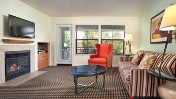 Télévision, cheminée, lecteur de DVD