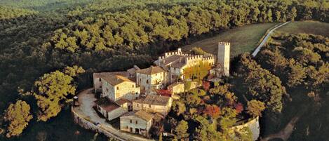 An aerial view of a historic stone castle surrounded by dense forest, with a winding road leading to it.