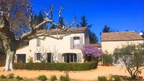 A two-story house with a large tree in the front yard, a small garden with purple flowers, and a clear blue sky.