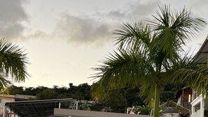 Una casa moderna con garaje, un porche cubierto y un pequeño jardín.