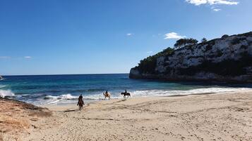 Ubicación a pie de playa